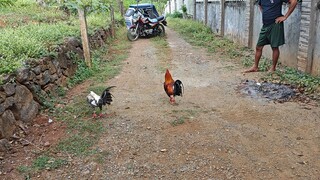 my bulisay