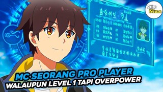 Anime Dimana MC Seorang Pro player Masuk Dunia Game dan Overpower