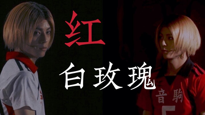 【永田崇人 | 孤爪研磨】“怎么冷酷却仍然美丽”