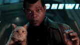[Remix]Chewie showed its power in front of Nick Fury
