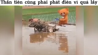 Thần tiên cũng phải phát điên vì quá lầy