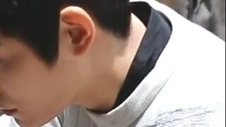 【Ding Yuxi】20240313 "Dali Temple Shaoqing Tour" Ding Yuxi plays with cats
