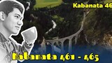 The Pinnacle of Life / Kabanata 461 - 465