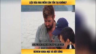 Theo chân nhà khoa học nước ngoài đến Việt Nam tìm kiếm rùa mai mềm - Review top video triệu view