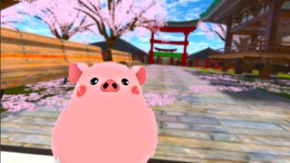 Meet Musini! A pig from South Korea...