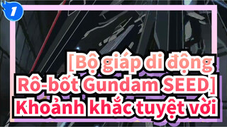 [Bộ giáp di động Rô-bốt Gundam SEED] Khoảnh khắc tuyệt vời!_1