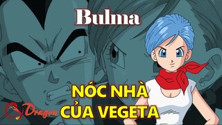 Hồ sơ Bulma: Thiên tài khoa học, nóc nhà của Vegeta