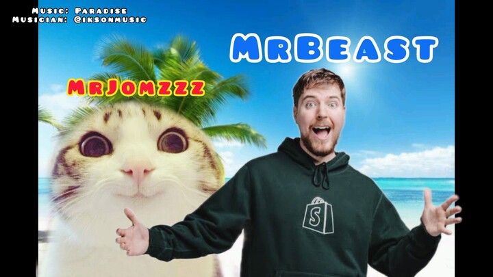 I Love MrBeast!