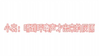 [Conan] Is yours like this? I am sorry that I can! ! ! !