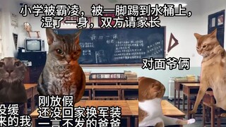 【猫meme】平凡的我和我（不）平凡的长辈们（1）