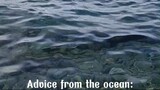 Advice from the ocean || jazziearl