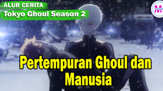 Pertempuran Ghoul dan Manusia || Alur Cerita Tokyo Ghoul Season 2