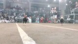 2HITS STA RITA COLISEUM F#1 Lose