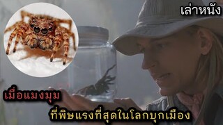 [เล่าหนัง] 🎬 เมื่อแมงมุม...ที่พิษแรงที่สุดในโลกบุกเมือง