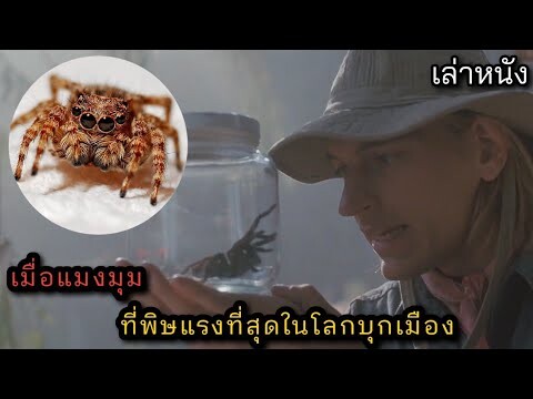 [เล่าหนัง] 🎬 เมื่อแมงมุม...ที่พิษแรงที่สุดในโลกบุกเมือง