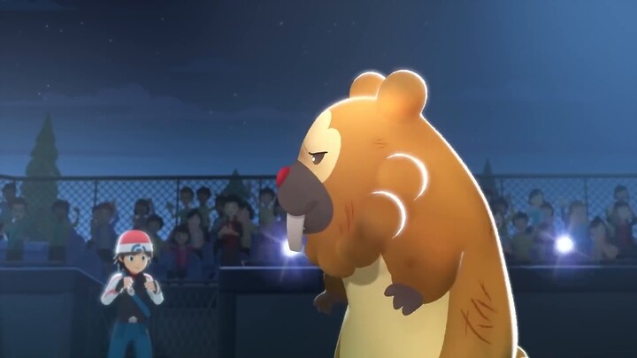 [Pokémon] Hoạt hình tưởng niệm Bidoof's Big Stand Hoạt hình Bidoof's Big Stand