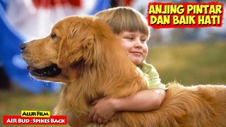 Kisah Anjing Pintar Dan Baik Hati | Alur Cerita Film AIR BUD : spikes Back (2003)