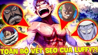 LUFFY SỠ HỮU BAO NHIÊU VẾT SẸO?! | TOÀN BỘ NGUỒN GỐC VẾT SẸO TRÊN NGƯỜI LUFFY?