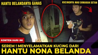 🔴 1270- 😱 SEREM !!! SELAMATIN KUCING MAU DIMAKAN SETAN HANTU BELANDA