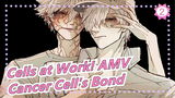 [Cells at Work! AMV] Cancer Cell's Bond_2