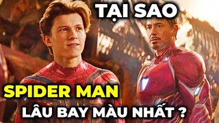 Tại sao SPIDER MAN có thể tồn tại lâu hơn sau cái búng tay của THANOS ?