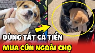 Chàng trai dùng SỐ TIỀN CUỐI CÙNG để mua lại bé cún BỊ BÁN ngoài chợ 😍 | Yêu Lu