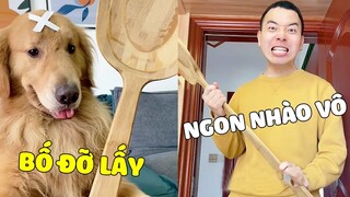 Tứ Mao | Khi Tứ Mao Và Bố Đánh Nhau Vì Miếng Ăn Và Hậu Quả Sau Đó 🤣 Gâu Đần Official