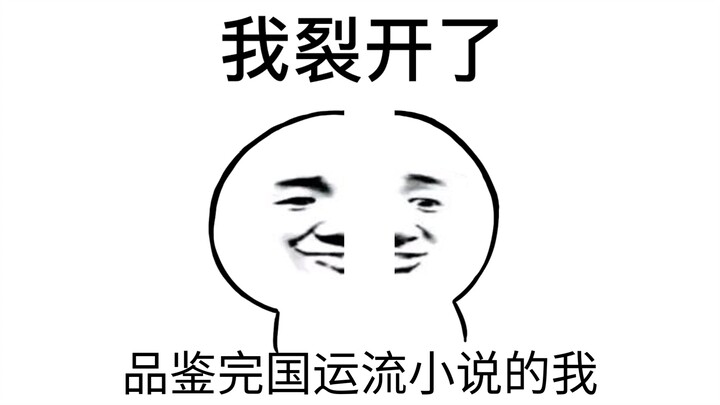 讲一下赤“国运流”的小说的石的感受