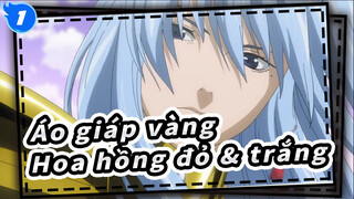 Áo giáp vàng|[LCSS Pisces]Hoa hồng đỏ và trắng_1