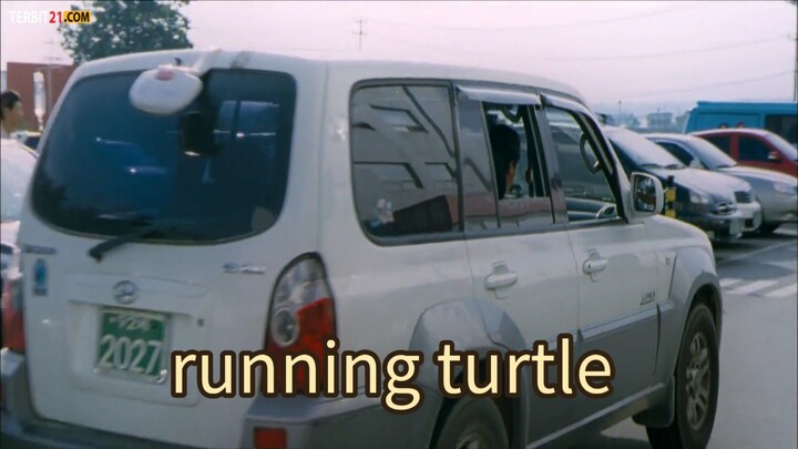 running turtle 2009