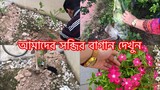 আমার নতুন বাড়িতে নতুন সব্জির বাগান দেখতে কেমন // My New Vegetable Garden In Malaysia ll