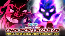 ONE PIECE TERBARU! TAKDIR DARI BLACKBEARD! TUBUH SPESIAL BLACKBEARD