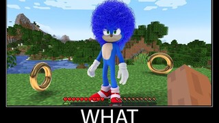 Minecraft รออะไร meme part 56 minecraft ที่เหมือนจริง sonic the Hedgehog 2