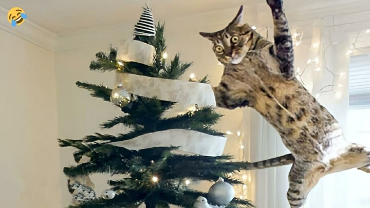 NEW YEAR'S ANIMALS 🐾 FUNNY CATS and DOGS & other ANIMAL 🐱🐶 vs Christmas Trees 🎄