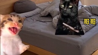 When my brother found me practicing