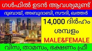 gulf  jobs Malayalam/gulf job vacancy 2022 malayalam/ Dubai jobs/Saudi jobs/Qatar jobs/Abudhabi jobs