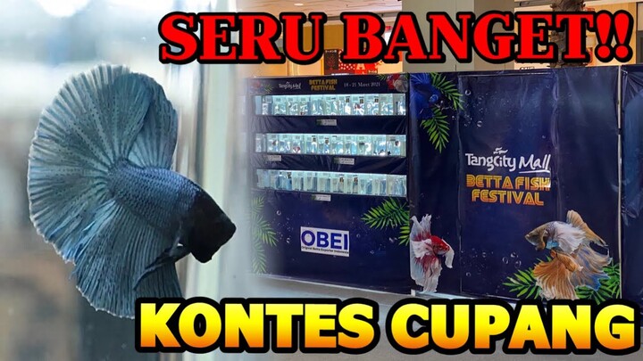 KONTES CUPANG TANGCITY TANGERANG 2021 IKANNYA AJIB AJIB