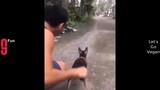 TRY NOT TO LAUGH �� Best Funny Videos Compilation ������ PART 27-