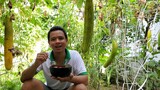 Ngồi Ăn Cơm Ngoài Vườn Nhớ Việt Nam #198 | Út Đạt Cuộc Sống Nhật