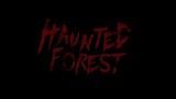 HAUNTED FOREST