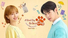 AGoodDaytobeaDg (23) Season 1 Episode 8 Sub Indonesia