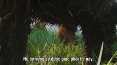 Big Beasts EP 06 [Sub Việt]