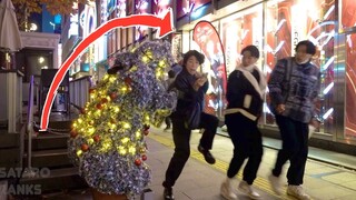 Christmas Tree Prank 2022 Japanese Reactions!