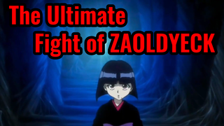 The Ultimate Fight of ZAOLDYECK