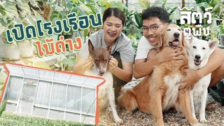 สร้างโรงเรือนยังไง ไม่ให้หมาเข้า!? - สัตว์ตูพืช EP1