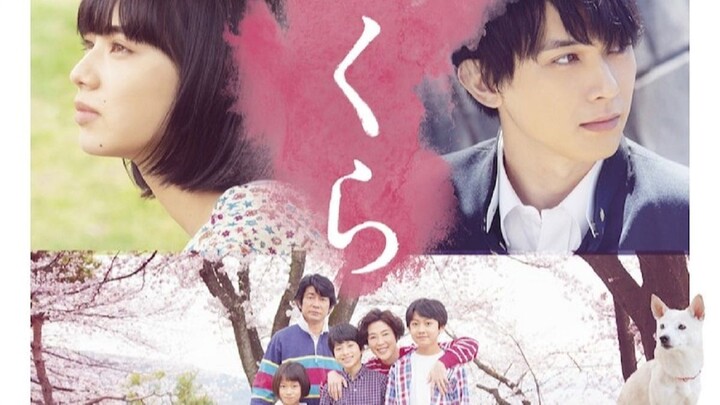 [ Sub INDO ] Sakura (2020) | Live Action | Full HD