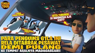 PARA PENGUINS MENUMPANG DI PESAWAT DEMI SAMPAI KAMPUNG HALAMAN (MADAGASCAR) !! - ALUR CERITA