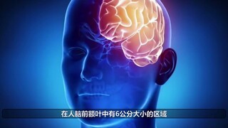 【硬核分析】科学严谨的分析肖战是否会糊的无法翻身