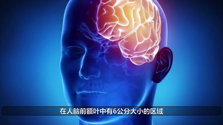 【硬核分析】科学严谨的分析肖战是否会糊的无法翻身