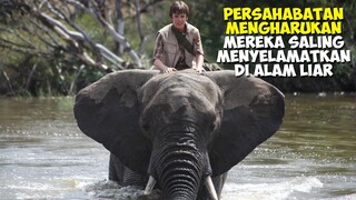 Kisah Persahabatan Yang Mengharukan Antara Anak Mnusia Dan Gajah Liar | Alur Cerita Film